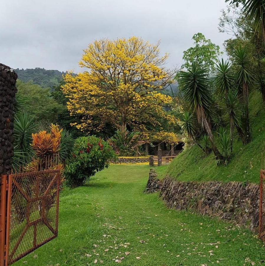 فندق Pura Vista Glamping El Castillo المظهر الخارجي الصورة