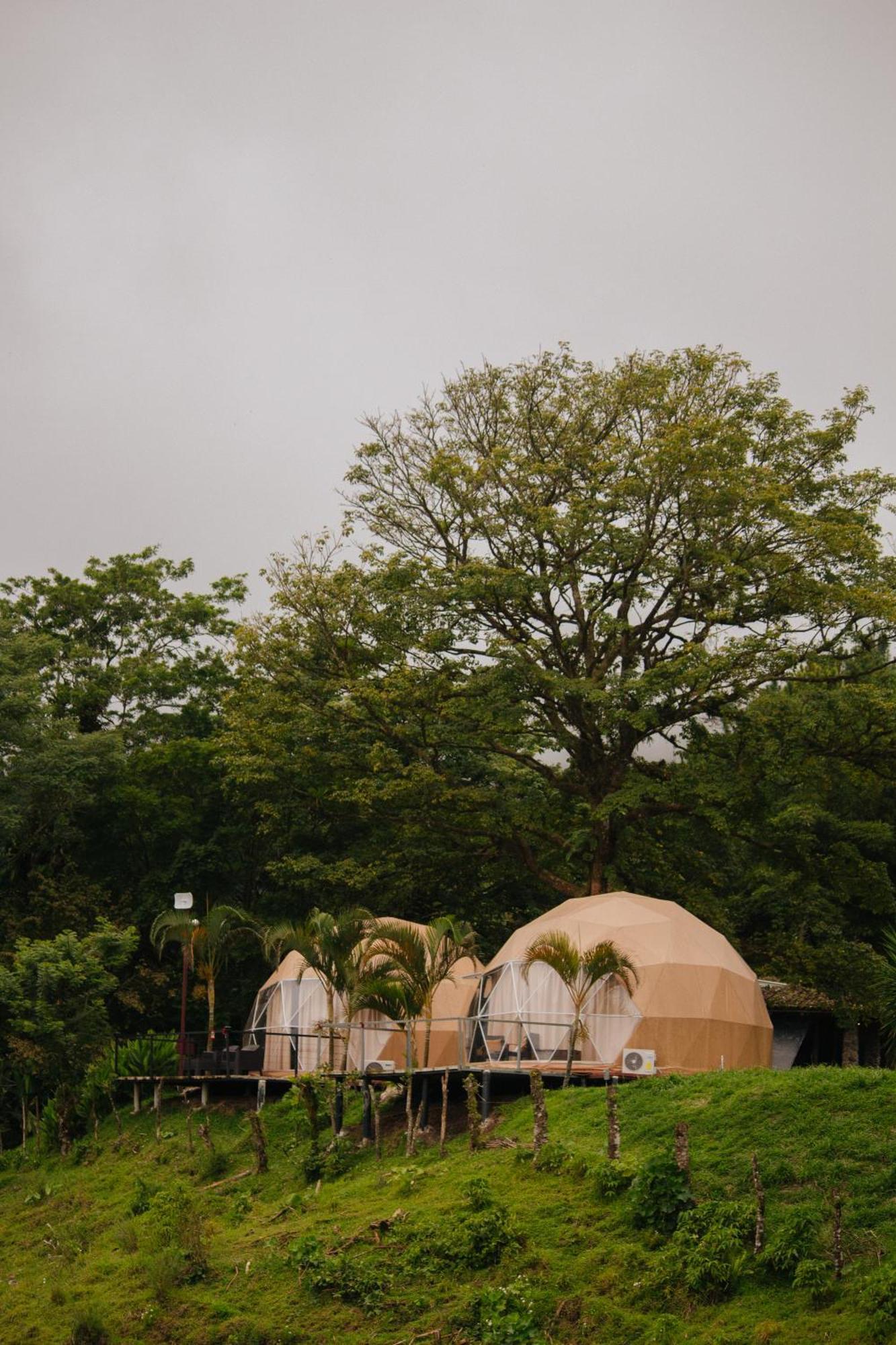 فندق Pura Vista Glamping El Castillo المظهر الخارجي الصورة